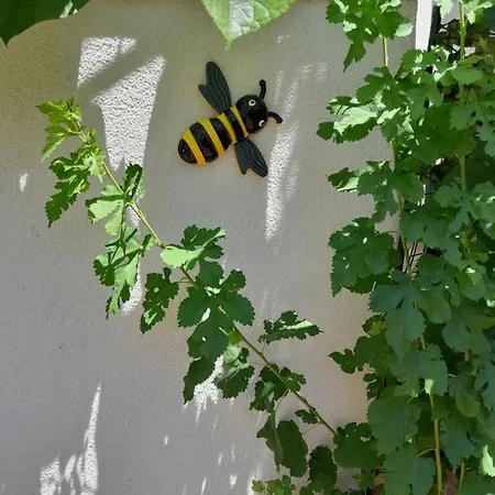 Maja Garden * Zadar